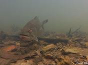 para nuestra biodiversidad