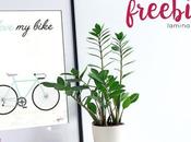 Freebie: Lámina bici