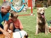 encantador perros Cesar Millan opta cesped artificial para centro canino