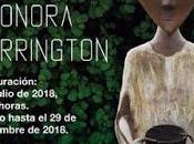 Recibe ccmb surrealismo leonora carrington texcoco