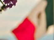 Verificado 2018: ejemplo periodismo colaborativo elecciones mexicanas