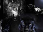 Elige animal revelaremos lado oscuro personalidad