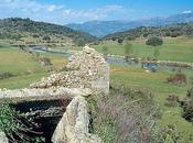 Enfermedades Molinos