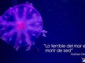 Puedes tenerlo todo pero sabes Administrar, Eres Pobre