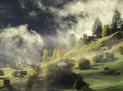 aldea