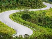 innovación éxito toro pasado