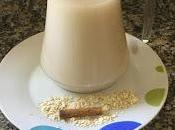 Leche avena thermomix tradicional