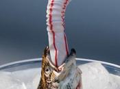 impactante campaña Greenpeace muestra animales marinos atragantados pajitas plástico