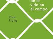Cuatro libros para agosto
