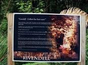 Conociendo Rivendell Elfos