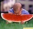 costado coma fruta
