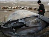 Informan caída objetos Mongolia
