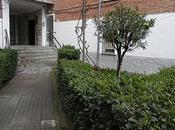 jardín alegría