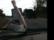 Graba casualidad buen susto mientras conduce