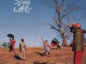 Arrested Development Years, Months Days Life
