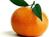 mandarinas previenen obesidad