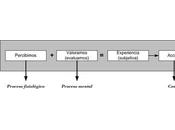 Emociones humanas desde perspectiva cognitiva.