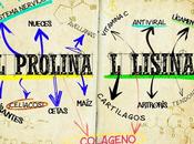 L-Prolina L-Lisina?