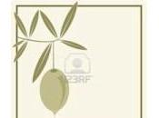 Obligación etiquetar cosecha aceite oliva
