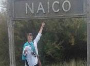 Naico