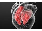 Publican Guía Actualizada para Manejo Cardiopatías Congénitas