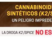 K2/Spice: cannabinoides cannabis, producen infartos episodios psicóticos