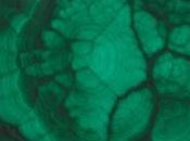 Albecq estrena single, Flare