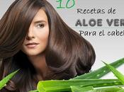 Sábila para cabello