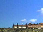 Vignes Caudalie, productos belleza llevan paseo viñedos