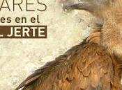 lugares para aves Valle Jerte