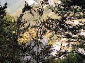 septiembre, nuevo camino