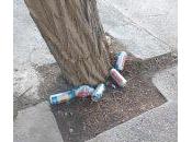 Zapalinos indignados luego acto mpn.