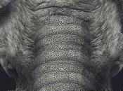 Mastodonte presenta Redención