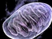 Enfermedades Crónicas causadas Interrupciones Celulares