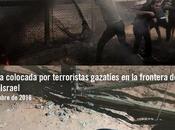 Protestas “pacíficas” palestinas frontera Gaza.