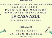 Indyspensable Madrid 2018: Casa Azul, Columpio Asesino, Crepúsculo, Bien Querida, Joana Serrat, Chillers, Axolotes Mexicanos...