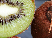 ¿Qué kiwi primero, fruta ave?