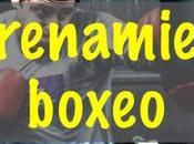 Entrenamiento Boxeo