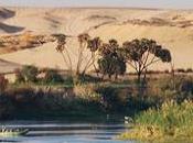 nueva plataforma geoperiodismo está cambiando cobertura largo África