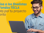 Fondos TECLA: Vota proyectos harán vivir hasta años