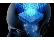 Comprueban Computación Cerebral