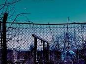 Suede Blue Hour (2018)