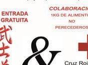 Encuentro Artes Marciales ciudad Hermanas