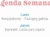 Agenda Semanal 8/10 14/10