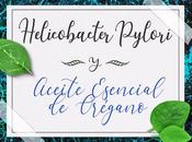 Helicobacter pylori aceite esencial orégano