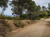 Territorio