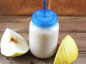 Smoothie melon galia