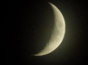 Luna, verde. qué?