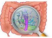 Bacterias para Tratar Diabetes