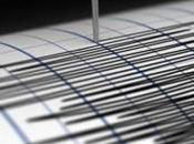 Terremoto Richter afecto Nueva Caledonia, SHOA descartó posibilidad tsunami costas Chile